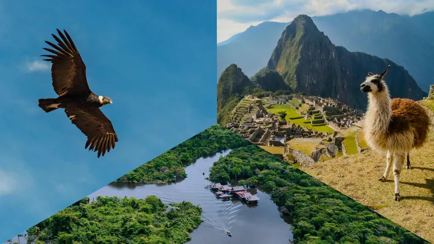 Biodiversidad