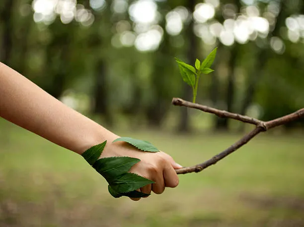 Medio Ambiente